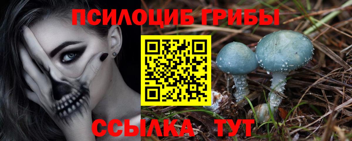 Хасавюрт  Галлюциногенные грибы мухоморы  Вход с VPN 
